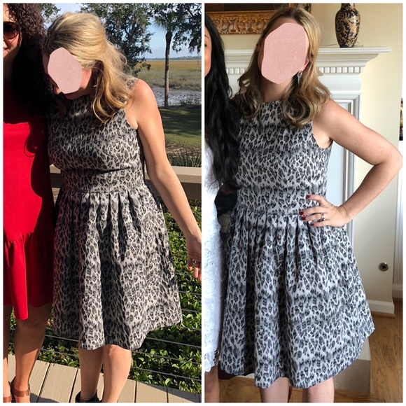 Taylor Size 8 animal print back mesh dress - Picture 6 of 6